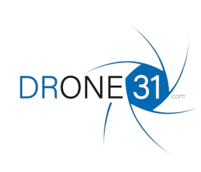 logo drone 31